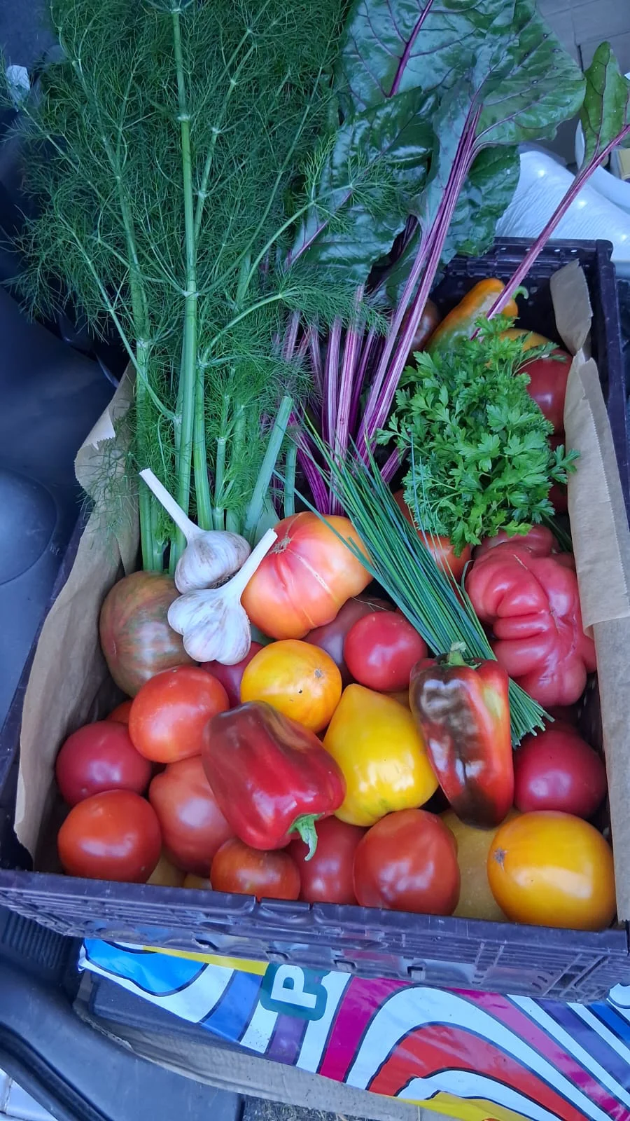 Gem&uuml;se und Kr&auml;uter Korb