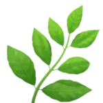 Kraeuterzweig 1.webp